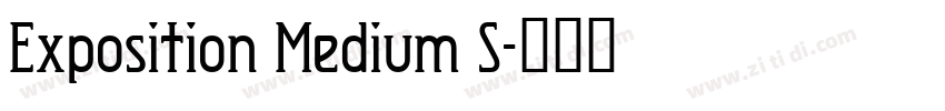 Exposition Medium S字体转换